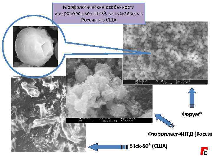  Морфологические особенности микропорошков ПТФЭ, выпускаемых в   России и в США