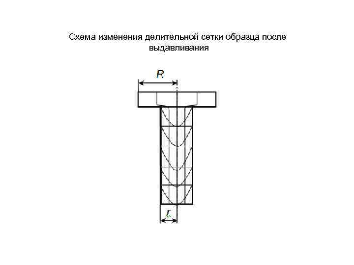 Схема изменения делительной сетки образца после    выдавливания 