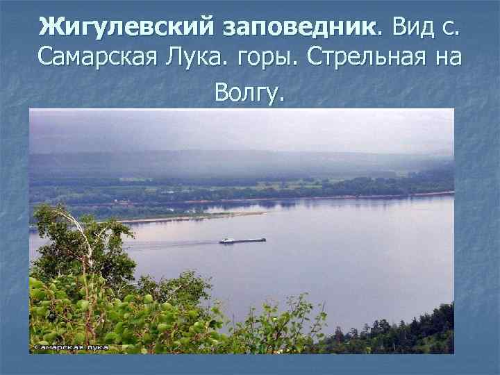 Жигулевский заповедник. Вид с. Самарская Лука. горы. Стрельная на   Волгу. 