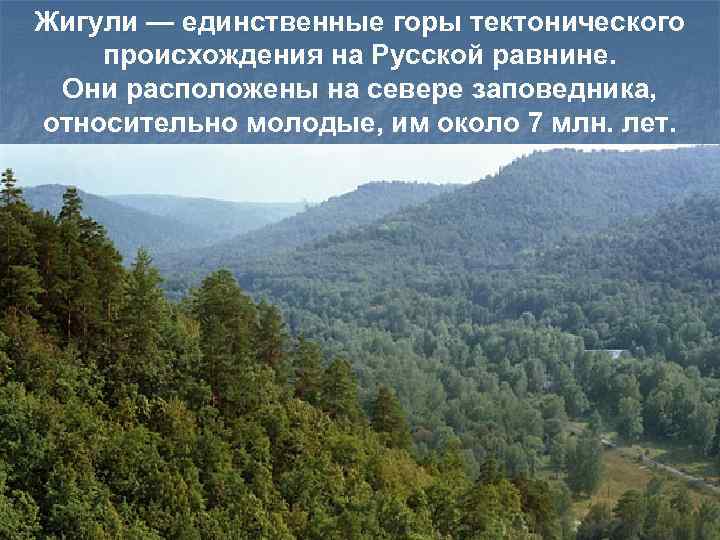 Жигули — единственные горы тектонического происхождения на Русской равнине.  Они расположены на севере