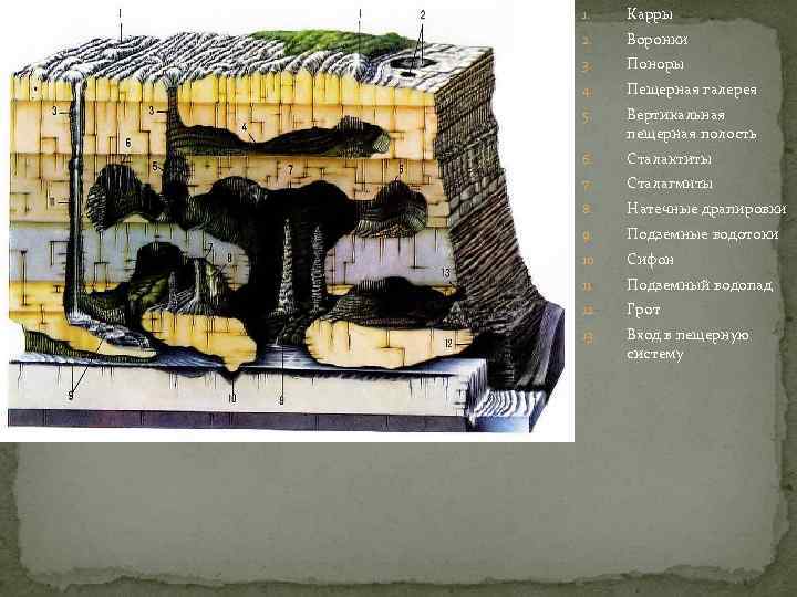1. Карры 2. Воронки 3. Поноры 4. Пещерная галерея 5. Вертикальная  пещерная полость
