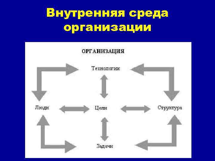 Внутренняя среда  организации 