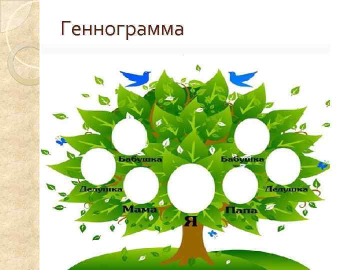 Геннограмма 