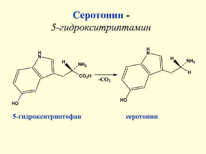     Серотонин -  5 -гидрокситриптамин 5 -гидрокситриптофан серотонин 