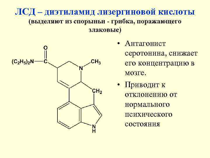 ЛСД – диэтиламид лизергиновой кислоты  (выделяют из спорыньи - грибка, поражающего  