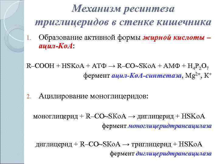 Ресинтез триацилглицеринов в кишечной стенке и синтез их в тканях физиологическое значение