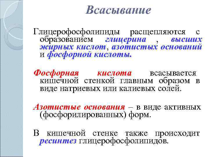    Всасывание Глицерофосфолипиды расщепляются с  образованием глицерина ,  высших 
