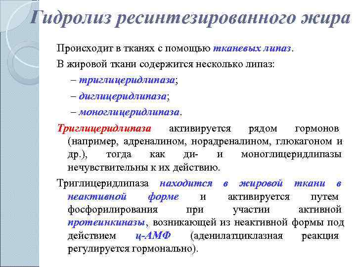 Гидролиз ресинтезированного жира  Происходит в тканях с помощью тканевых липаз.   