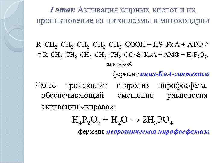   I этап Активация жирных кислот и их проникновение из цитоплазмы в митохондрии
