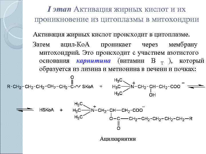   I этап Активация жирных кислот и их проникновение из цитоплазмы в митохондрии