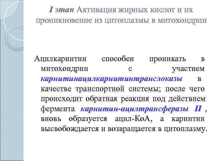   I этап Активация жирных кислот и их проникновение из цитоплазмы в митохондрии