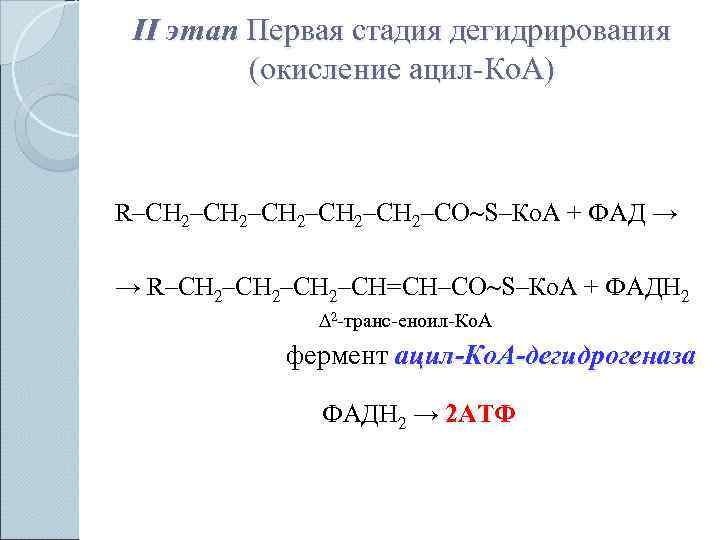  II этап Первая стадия дегидрирования  (окисление ацил-Ко. А)  R–СН 2–СН 2–СО