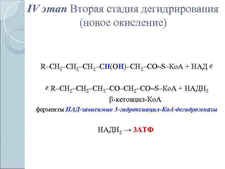 IV этап Вторая стадия дегидрирования  (новое окисление) R–СН 2–СН(ОН)–СН 2–СО S–Ко. А +