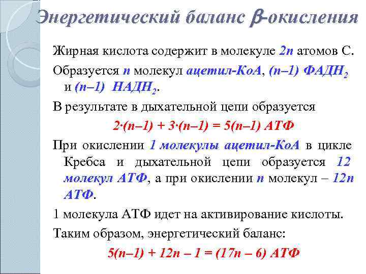 Энергетическая кислота. Энергетический баланс окисления жирных кислот. Энергетический баланс бета окисления жирных кислот. Энергетический выход окисления жирных кислот. Энергетическая ценность бета окисления жирных кислот.