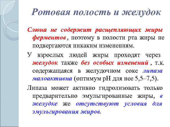  Ротовая полость и желудок Слюна не содержит расщепляющих жиры  ферментов , 