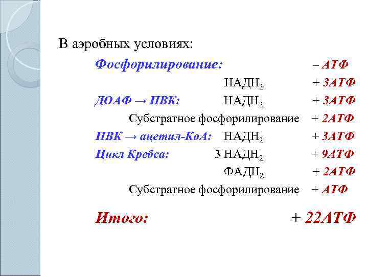 В аэробных условиях:  Фосфорилирование:     – АТФ   