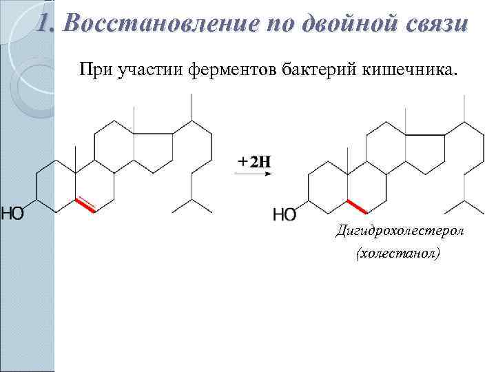 1. Восстановление по двойной связи  При участии ферментов бактерий кишечника.   