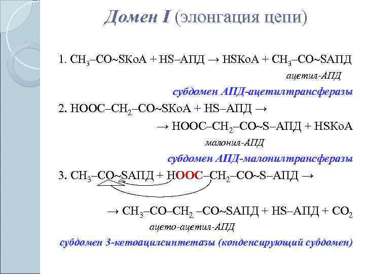   Домен I (элонгация цепи) 1. СН 3–СО SКо. А + НS–АПД →