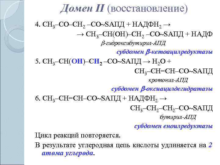   Домен II (восстановление) 4. СН 3–СО–СН 2 –СО SАПД + НАДФН 2