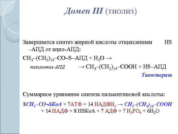     Домен III (тиолиз)  Завершается синтез жирной кислоты отщеплением 