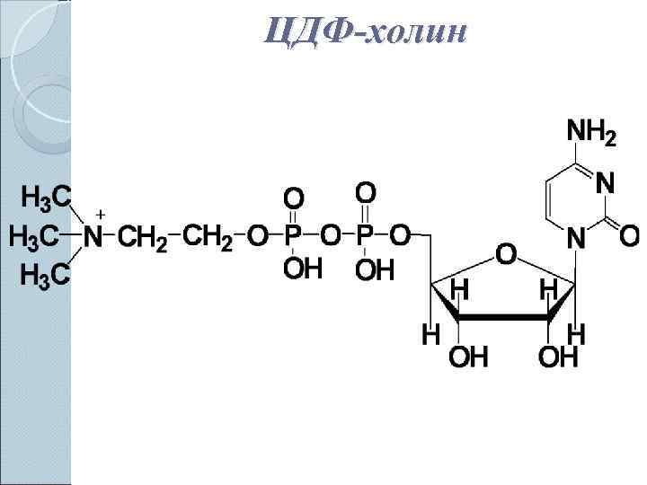 ЦДФ-холин 