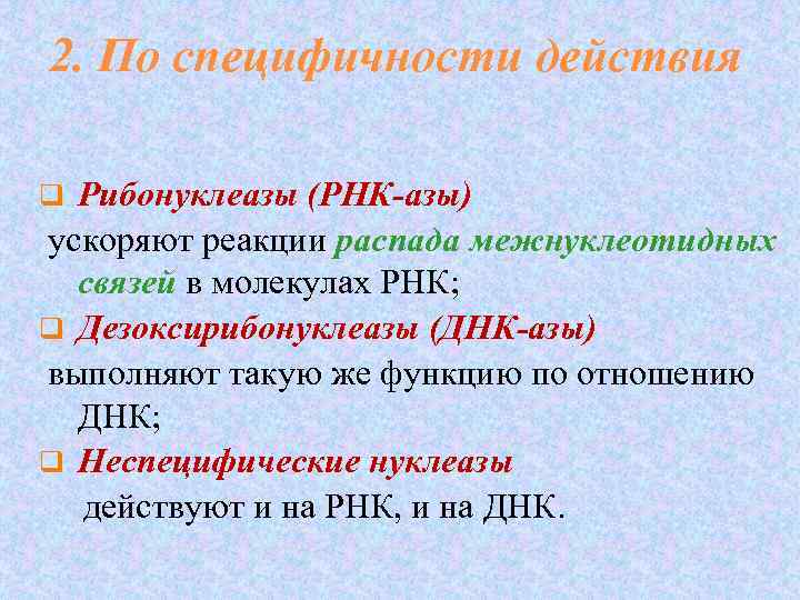 2. По специфичности действия q  Рибонуклеазы (РНК-азы) ускоряют реакции распада межнуклеотидных связей в