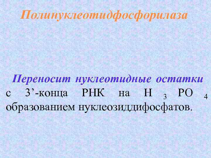 Полинуклеотидфосфорилаза Переносит нуклеотидные остатки с 3’-конца РНК на  Н 3 РО 4