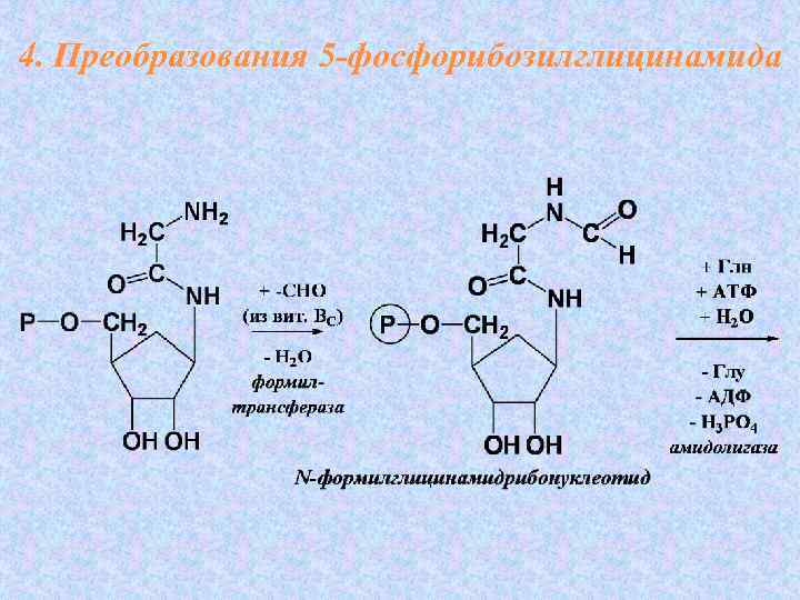 4. Преобразования 5 -фосфорибозилглицинамида 