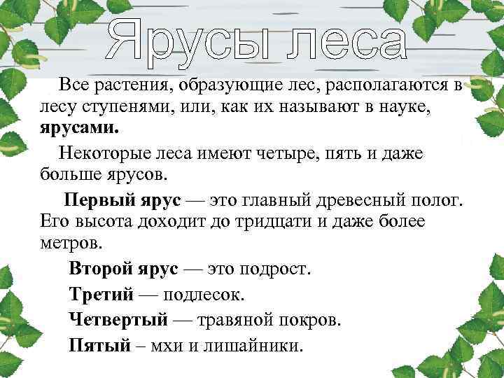 Все растения, образующие лес, располагаются в лесу ступенями, или, как их называют в Все растения, образующие лес, располагаются в лесу ступенями, или, как их называют в