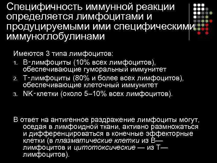 Специфичность иммунной реакции определяется лимфоцитами и продуцируемыми ими специфическими иммуноглобулинами Имеются 3 типа лимфоцитов: