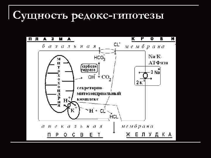 Сущность редокс-гипотезы 
