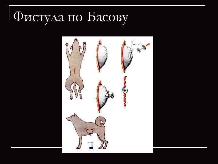Фистула по Басову 