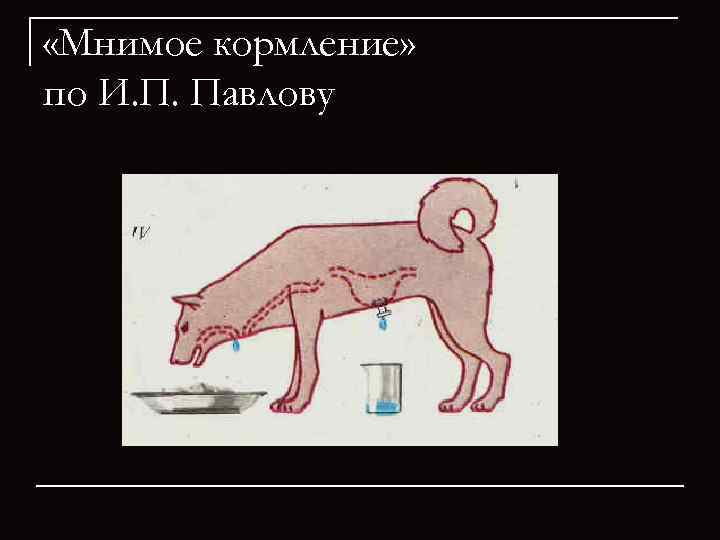 Нарисуйте схему формирования условного рефлекса по и п павлову э а асратяну