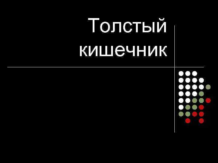  Толстый кишечник 