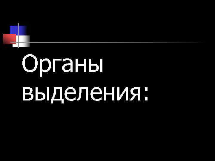 Органы выделения: Органы выделения: