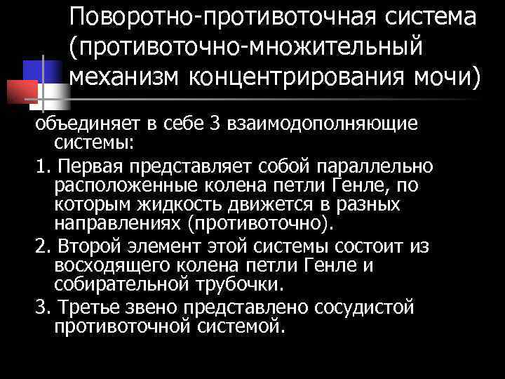 Схема поворотно противоточной множительной системы почек