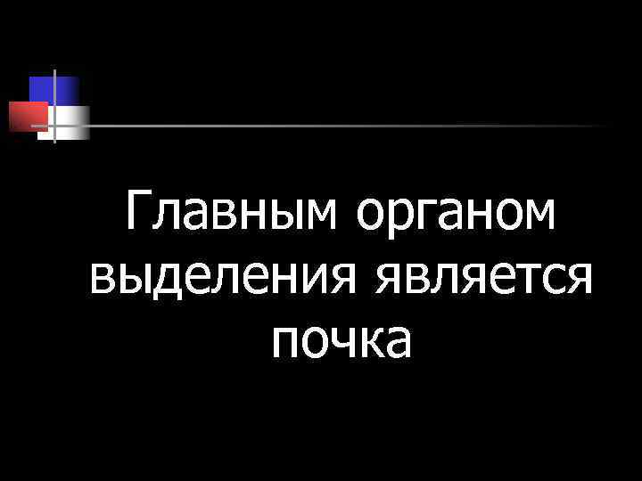 Главным органом выделения является почка Главным органом выделения является почка