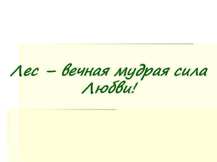 Лес – вечная мудрая сила   Любви! 
