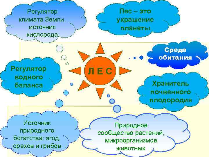 Что является источником кислорода на земле