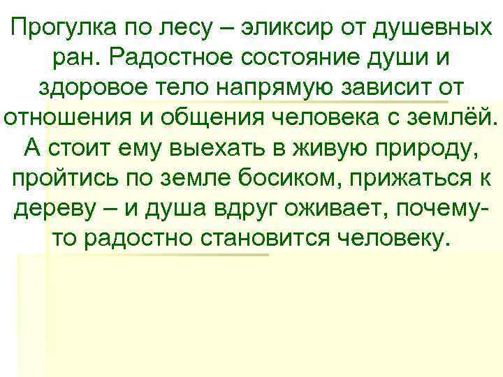 Прогулка по лесу – эликсир от душевных ран. Радостное состояние души и здоровое тело