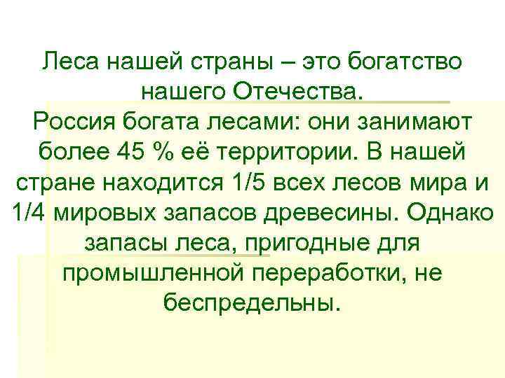  Леса нашей страны – это богатство   нашего Отечества. Россия богата