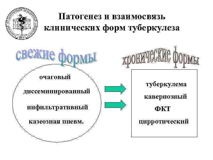   Патогенез и взаимосвязь клинических форм туберкулеза   очаговый   