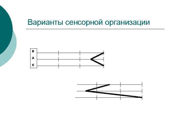 Варианты сенсорной организации  В  А  К 