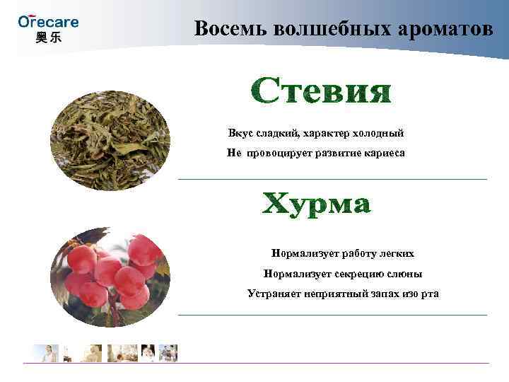 Восемь волшебных ароматов Вкус сладкий, характер холодный Не провоцирует развитие кариеса Восемь волшебных ароматов Вкус сладкий, характер холодный Не провоцирует развитие кариеса