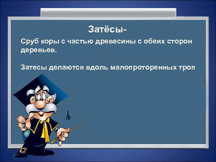     Затёсы- Сруб коры с частью древесины с обеих сторон деревьев.