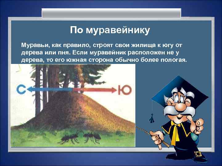    По муравейнику Муравьи, как правило, строят свои жилища к югу от