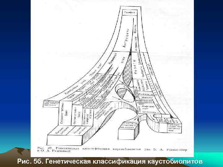 Рис. 5 б. Генетическая классификация каустобиолитов 