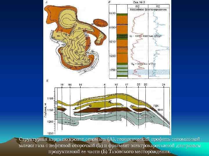 Структурная карта по кровле сеномана (А), геологический профиль сеноманской залежи газа с нефтяной оторочкой