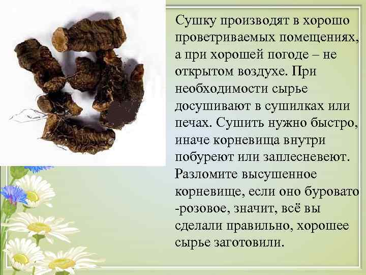   Сушку производят в хорошо проветриваемых помещениях,  а при хорошей погоде –