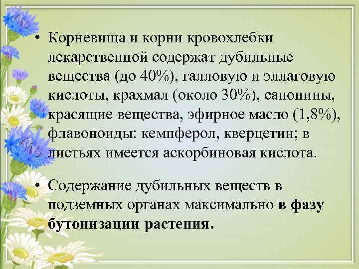  • Корневища и корни кровохлебки  лекарственной содержат дубильные  вещества (до 40%),